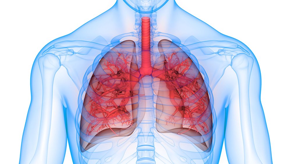Heart Failure Foundation Course